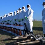 Количество жалоб павлодарцев на мошек и комаров сократилось в 30 раз