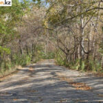 Строительство экопарка на Усолке отложено из-за отсутствия финансирования