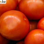 Овощи по сниженным ценам вскоре поступят в магазины Павлодара