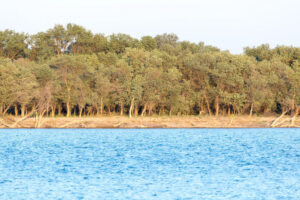 Казахстан и Узбекистан создадут 10 автоматизированных гидропостов