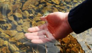 В Казахстане обнаружено более 700 новых источников воды