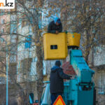 В Павлодаре сформирована бригада для обрезки аварийных деревьев