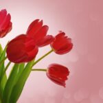 В Павлодаре запланированы мероприятия ко Дню женщин