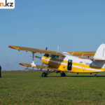 Дроны и самолеты используются в борьбе с гнусом в Павлодарской области