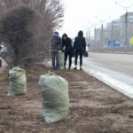 В Павлодаре объявили месяц чистоты и благоустройства
