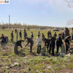 Сотни павлодарцев очистили город во время экологической акции