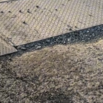 Трамвайные переезды в Павлодаре приведут в порядок за две недели