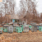 В Павлодаре возобновляется движение автобусов до дач 18 апреля