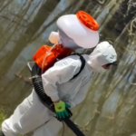 В Павлодаре началась обработка водоемов от личинок комаров