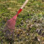 В Павлодаре с 18 апреля стартует месяц благоустройства и чистоты