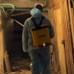 Жители Павлодара могут подать заявку на обработку подвалов от комаров