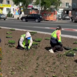 В Павлодаре началась высадка цветов на площади 30 тыс. кв. метров