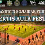 Дворовой фестиваль Ertis aula fest организуют на Малайсары батыра в Павлодаре