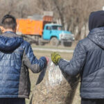 В Павлодаре запланирован общегородской субботник 19 сентября