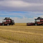 Павлодарские аграрии завершают уборочную кампанию