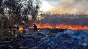 Пожар на 700 гектарах в Абайской области полностью ликвидирован