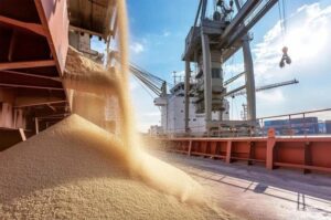 Казахстан и Нидерланды укрепляют связи в аграрной сфере